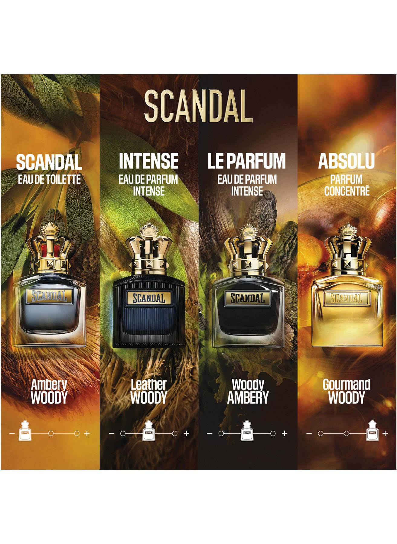 Amazon.com: Jean Paul Gaultier Scandal Pour Homme Absolu - Parfum