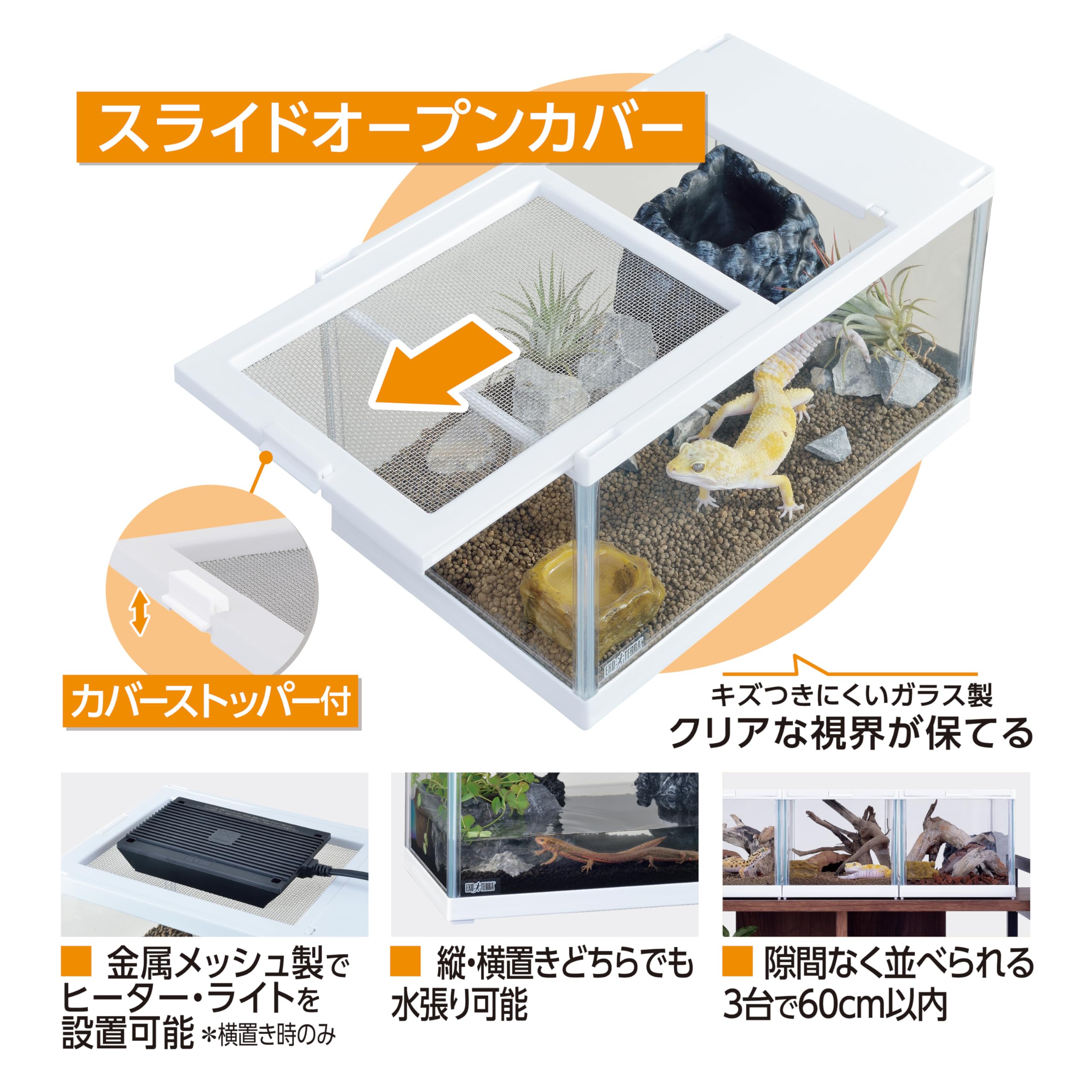 Amazon | ジェックス EXO TERRA レプテリア レオパ飼育キットS TV