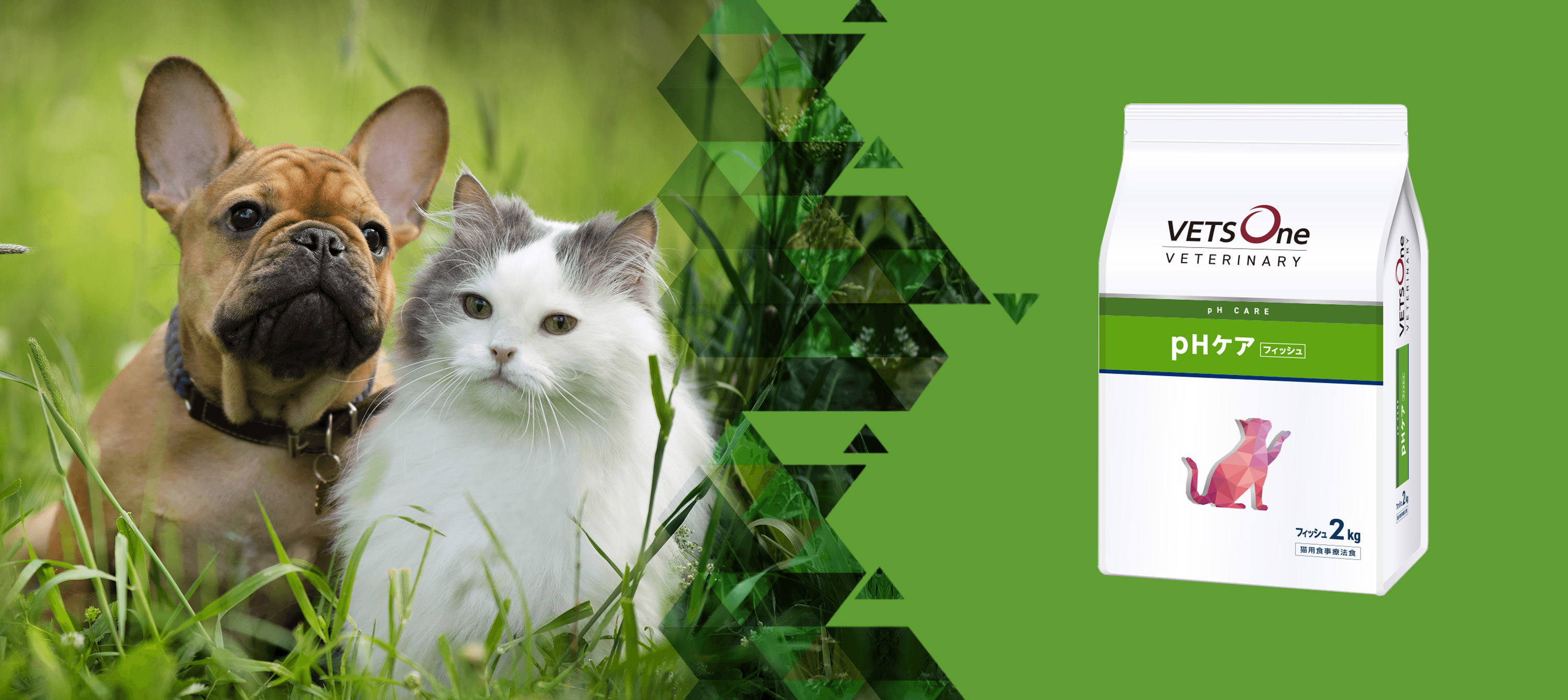 Amazon | ベッツワンベテリナリー 猫用 pHケア フィッシュ 2kg