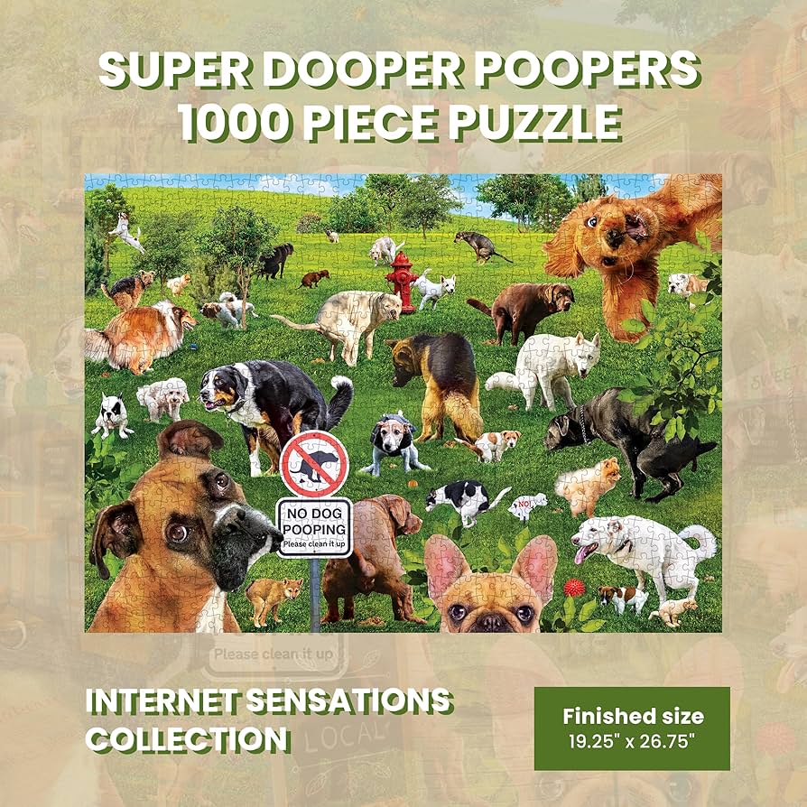 Amazon.com: MasterPieces 1000 Piece Jigsaw Puzzle for Adults