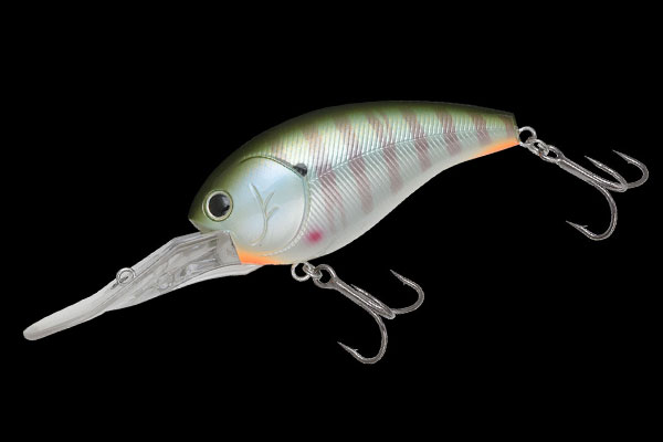 PROP FUKA | BASS | NORIES