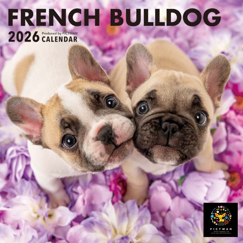 PICTWANカレンダー2026 フレンチ・ブルドッグ【S判】