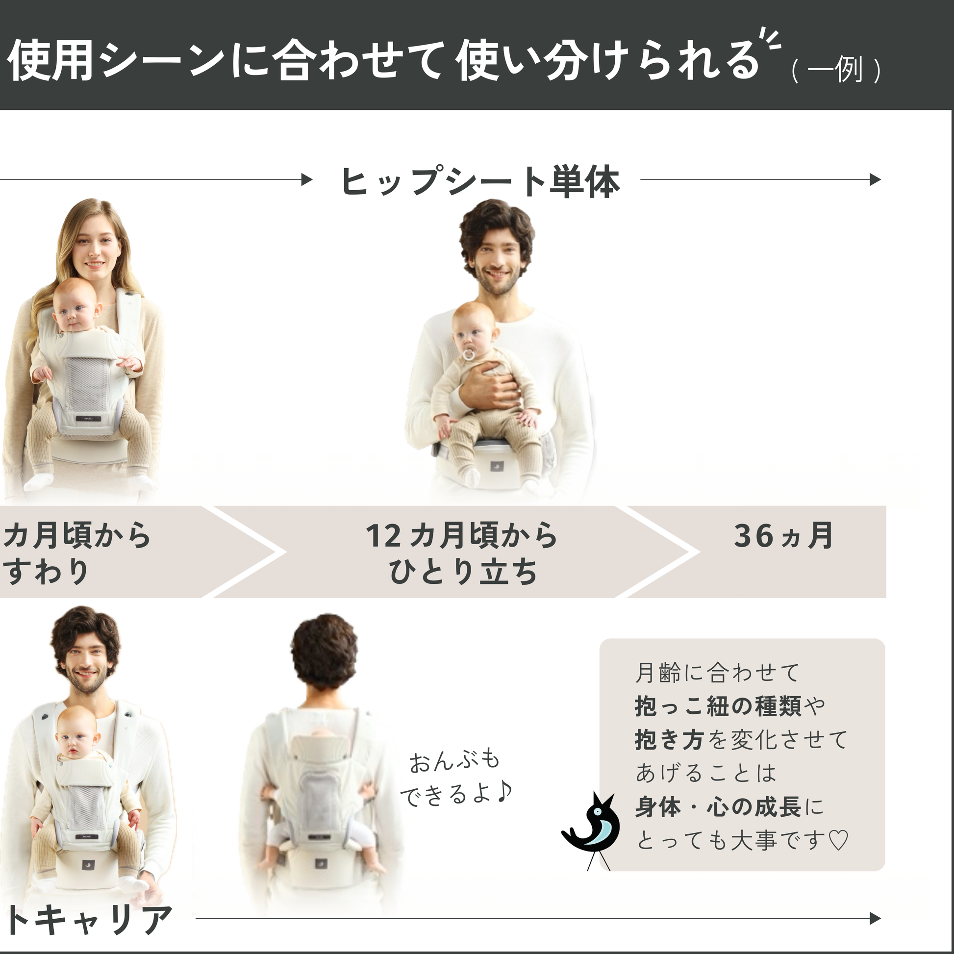 MAX (マックス) – POGNAE