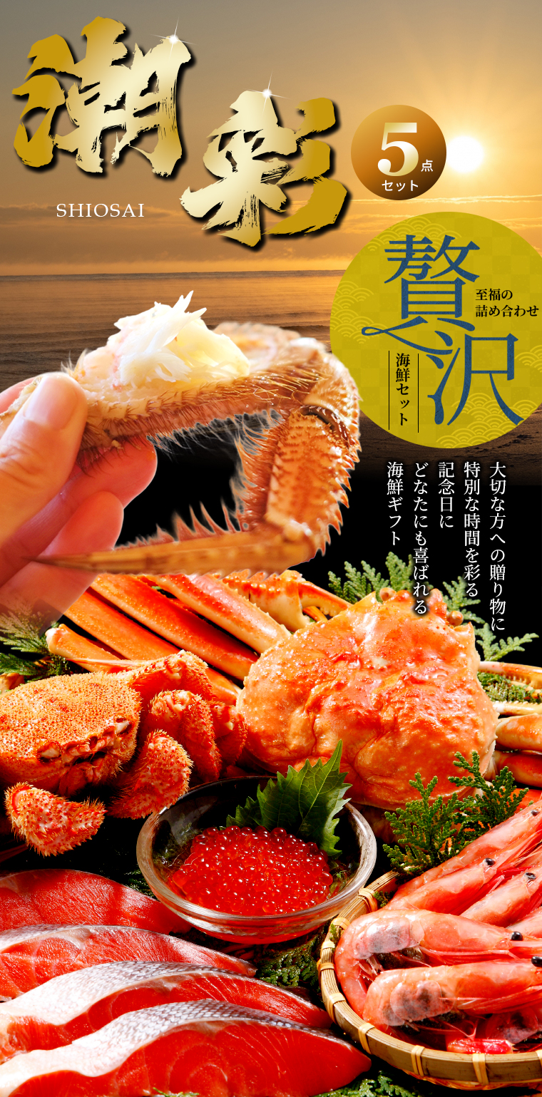 海鮮セット 北海道 お取り寄せ 特撰 潮彩(しおさい)(5品セット