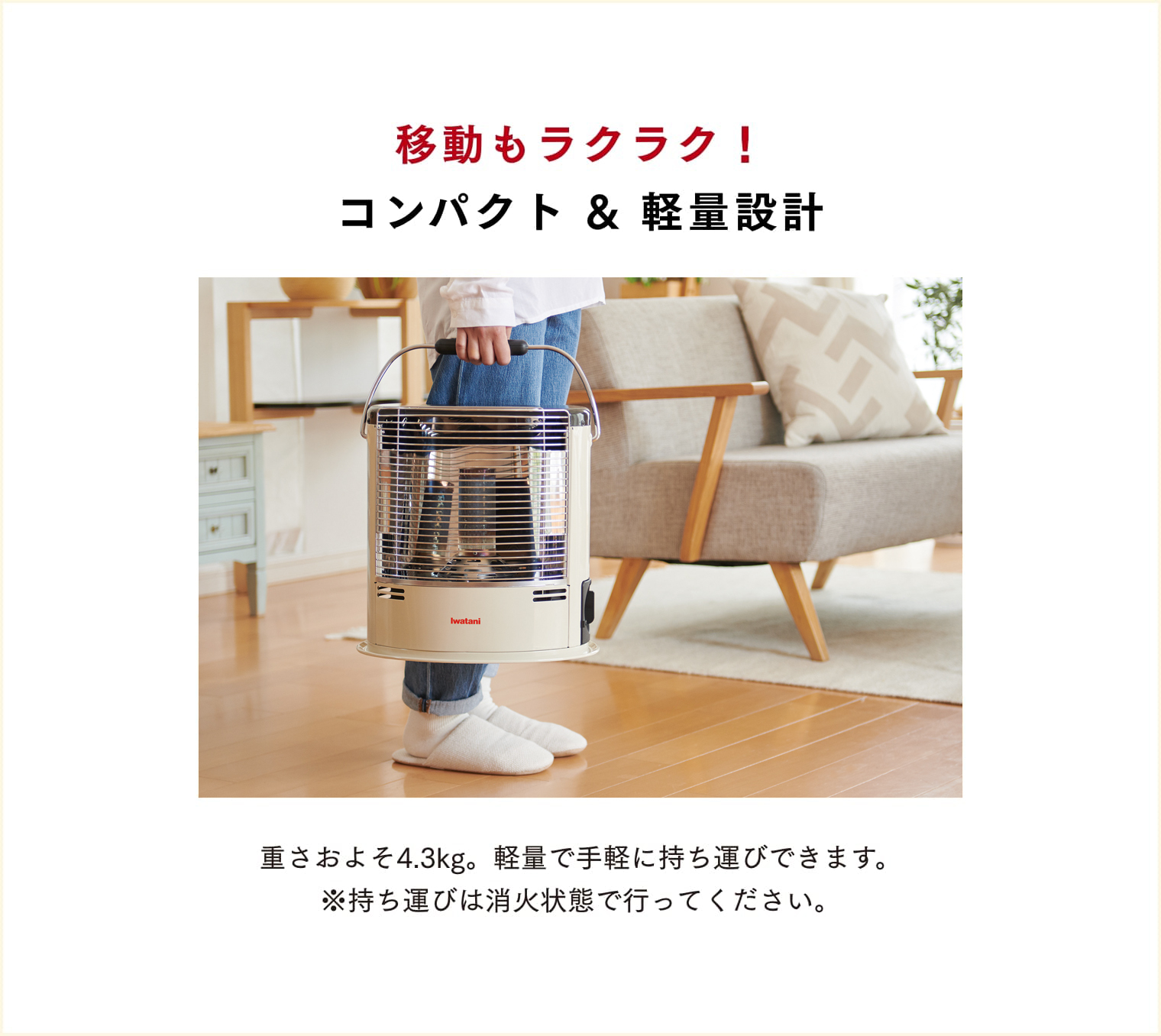 Iwatani（イワタニ） 【公式】Iwatani 岩谷 カセットガスストーブ デカ