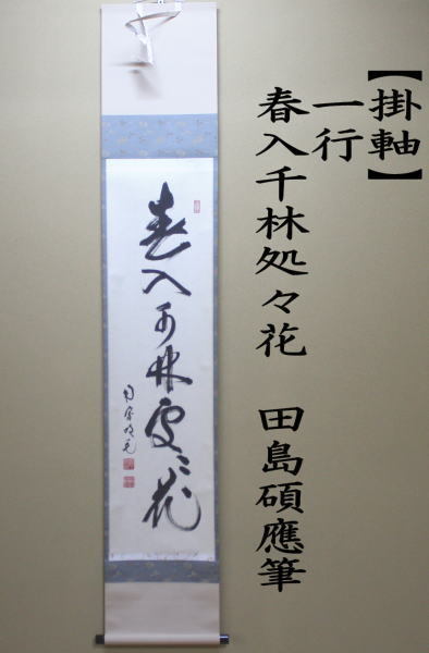 茶道具 掛軸 掛け軸 一行 春入千林処々花 田島碩應筆 茶道 : 茶道具