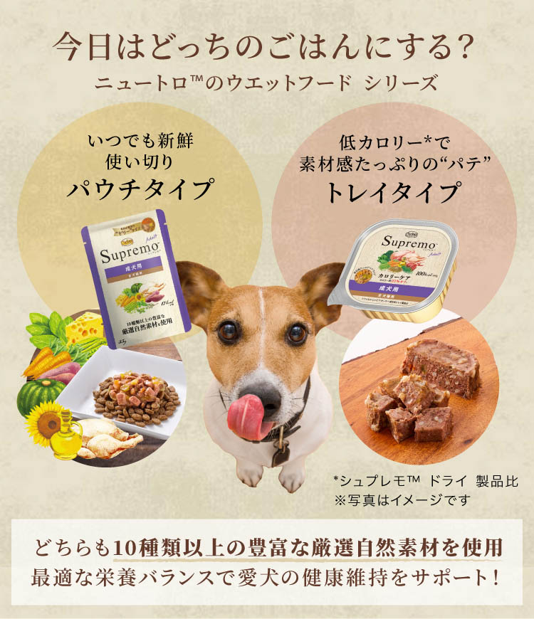 ニュートロ シュプレモ 体重管理用 13.5kg 成犬用 ドッグフード