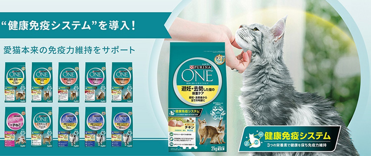 ピュリナワン キャット ドライ 室内飼い猫用 1歳以上 サーモン＆ツナ
