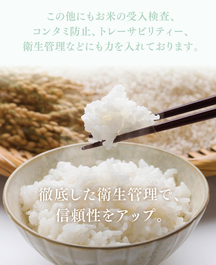 1000円ポッキリ ポイント消化 お米 無洗米 備蓄 非常食 山形県産