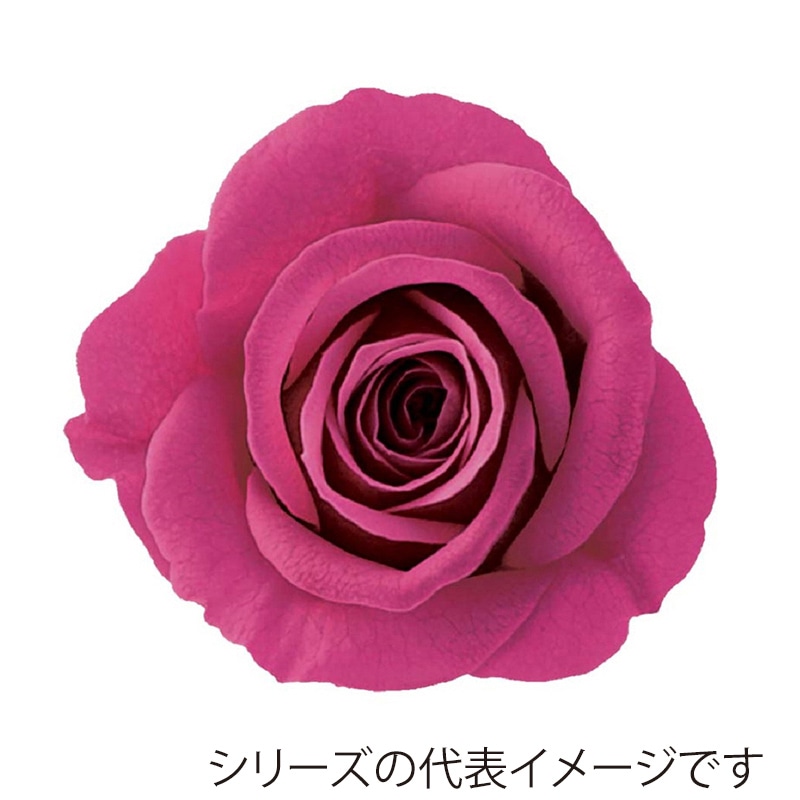 モノ・インターナショナル Primavera プリザーブドフラワー 86530