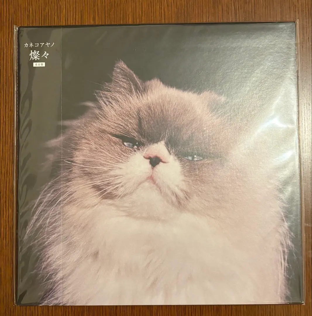 2026年最新】カネコアヤノ 燦々 レコードの人気アイテム - メルカリ