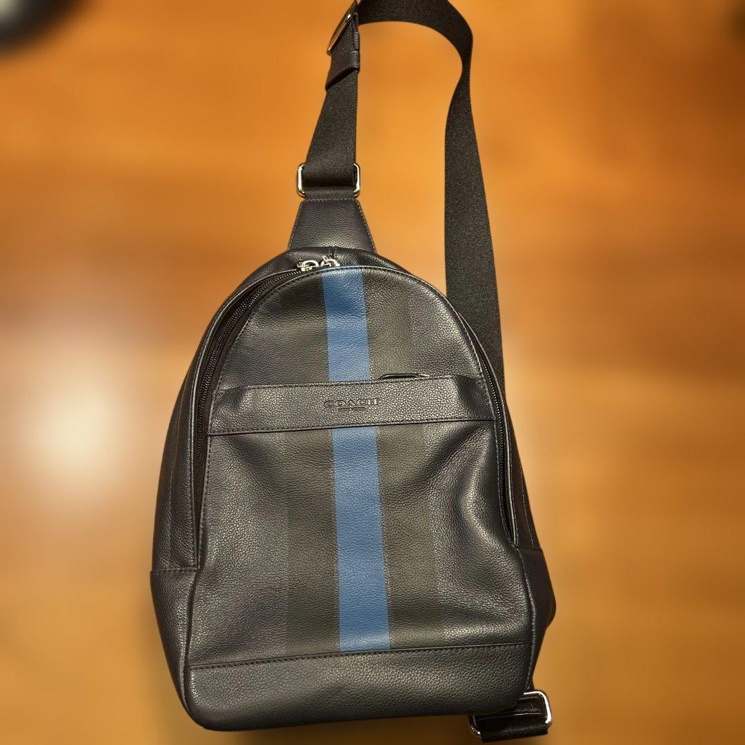 COACH レザー ショルダーバッグ ブラック/ブルー COACH（コーチ） ショルダーバッグ シグネチャー キャンバス サリバン