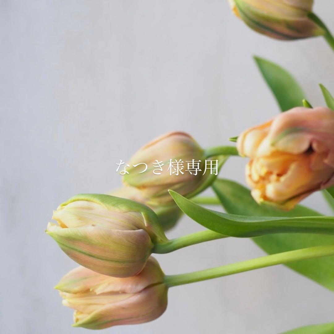 なつき カード検索 ｜ Z/X - Zillions of enemy X - ゼクス公式サイト