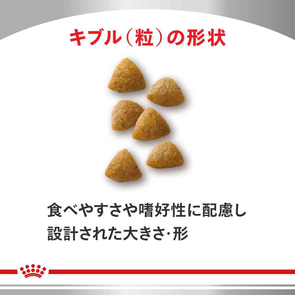 猫用 腎臓サポート スペシャル 2kgx1